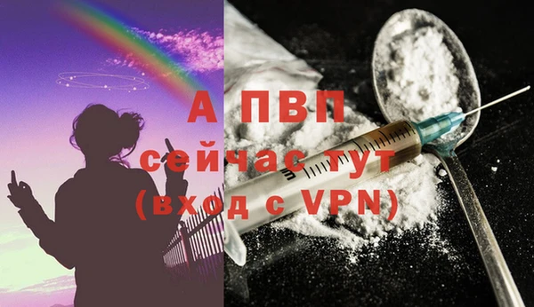 крисы Беломорск