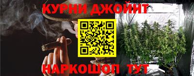 индика Ирбит