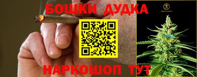 гидра Изобильный