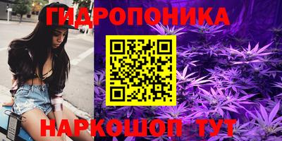 индика Ирбит