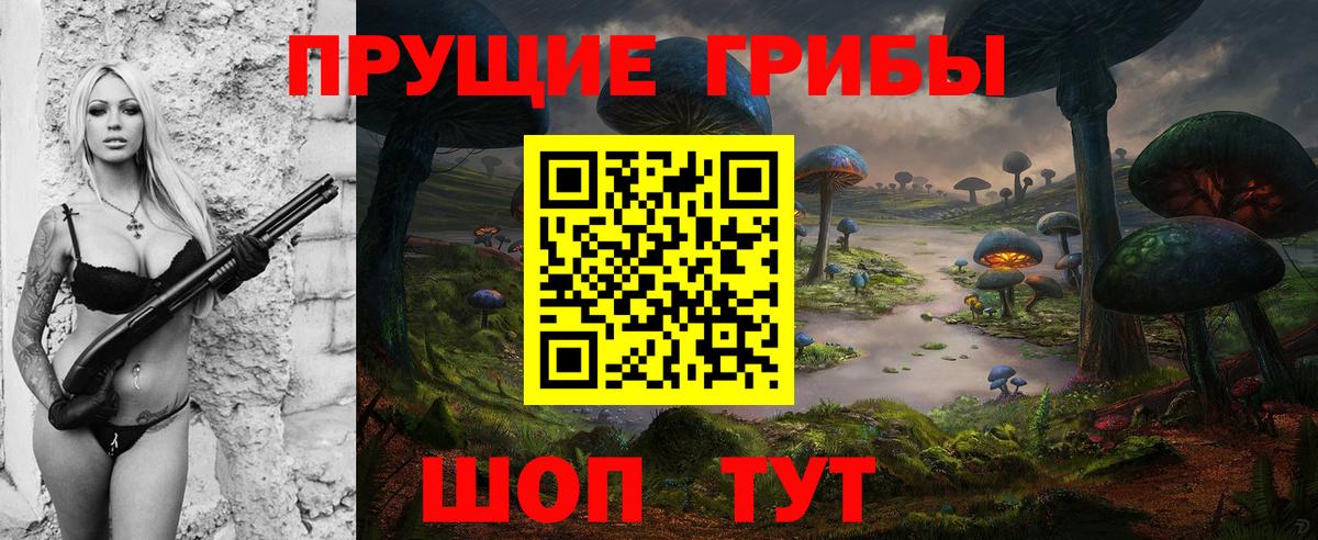 Псилоцибиновые грибы прущие грибы  Псилоцибиновые грибы прущие грибы  Вход с VPN  Славгород 
